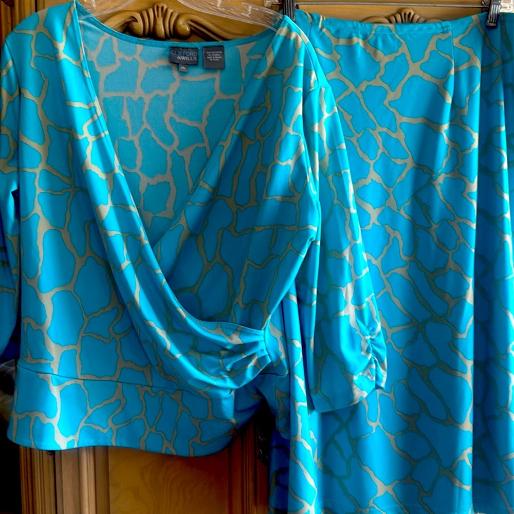 Skirt and top set